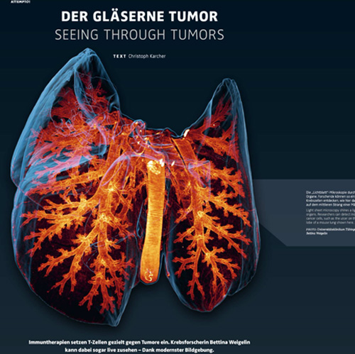Text Christoph Karcher Karlsruhe attempto!, der gläserne Tumor